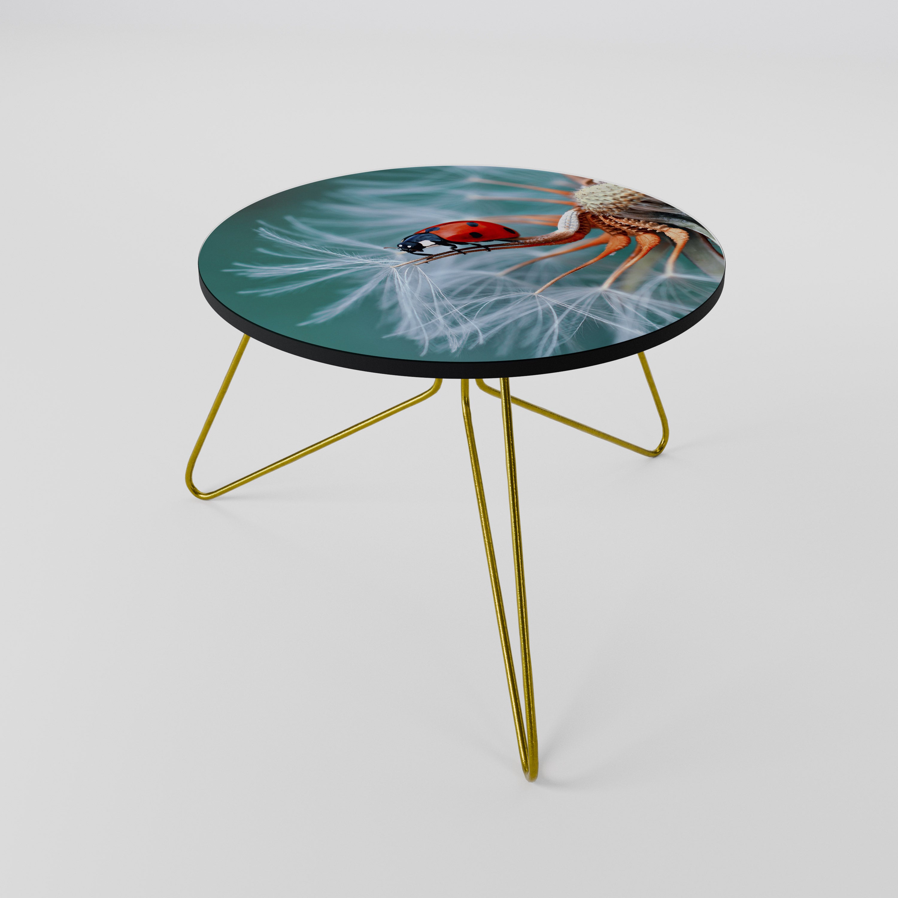 LADYBUG BALANCE Coffee Table