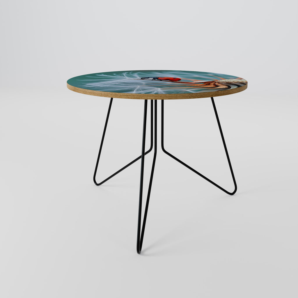 LADYBUG BALANCE Coffee Table 69