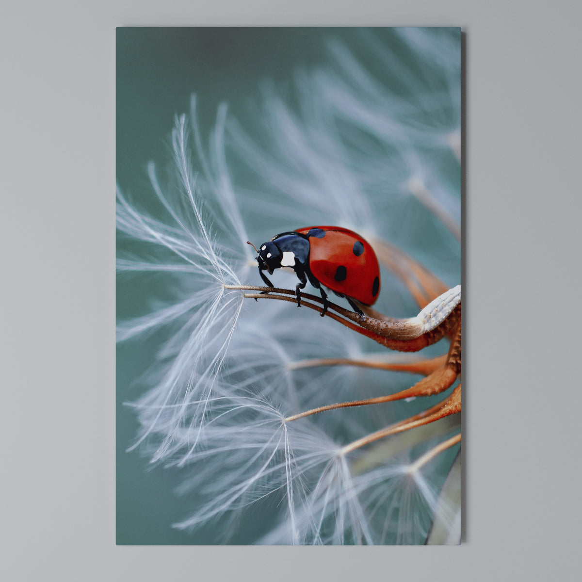 LADYBUG BALANCE Κατακόρυφος Πίνακας σε Καμβά