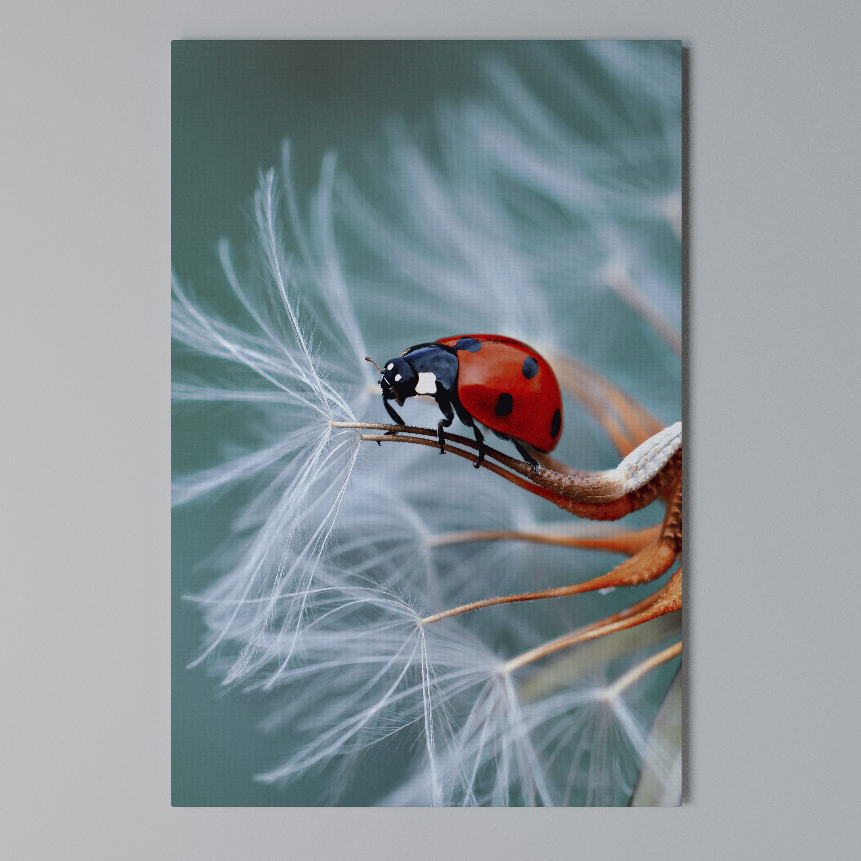 LADYBUG BALANCE Κατακόρυφος Πίνακας σε Καμβά