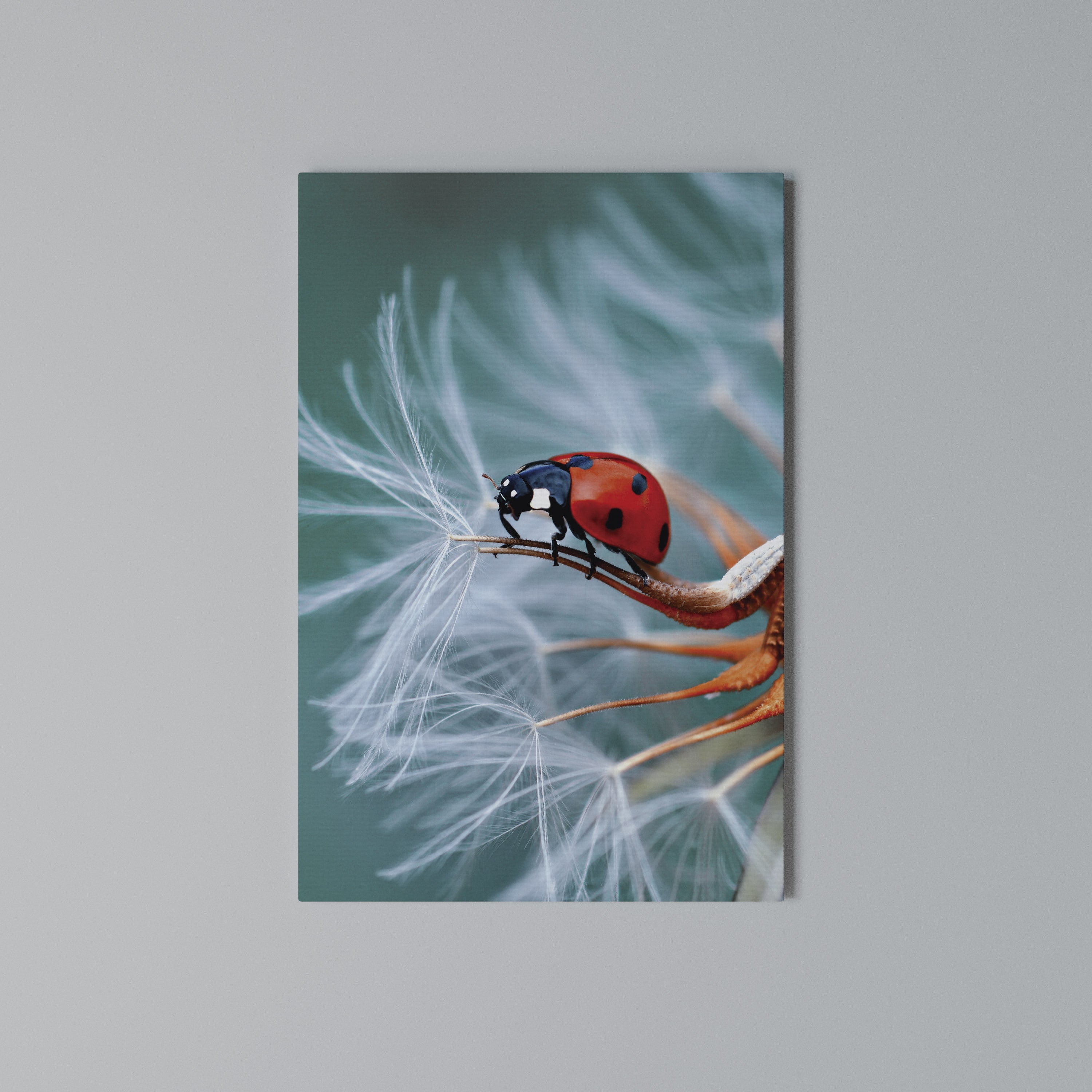 LADYBUG BALANCE Κατακόρυφος Πίνακας σε Καμβά