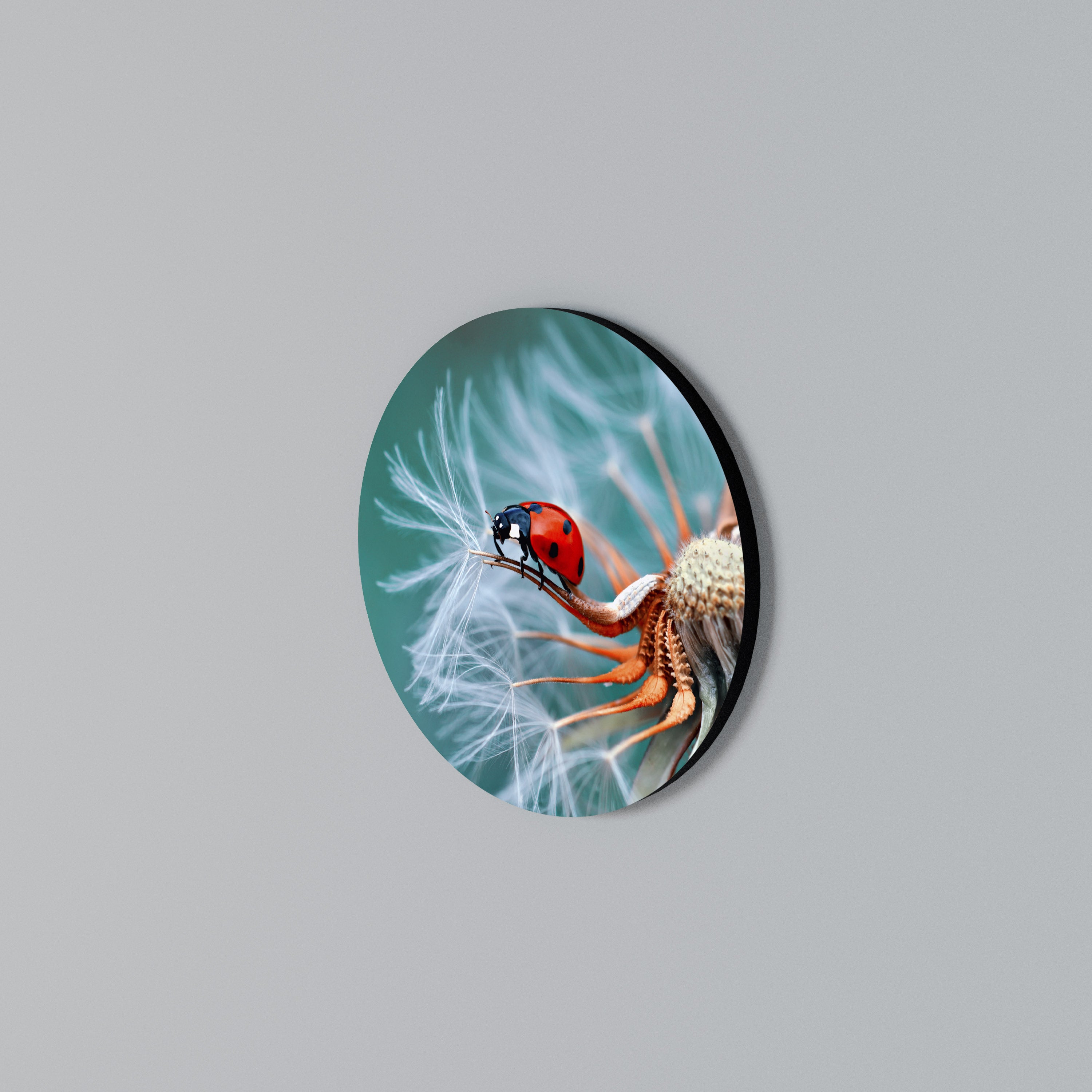 LADYBUG BALANCE Round Wall Art