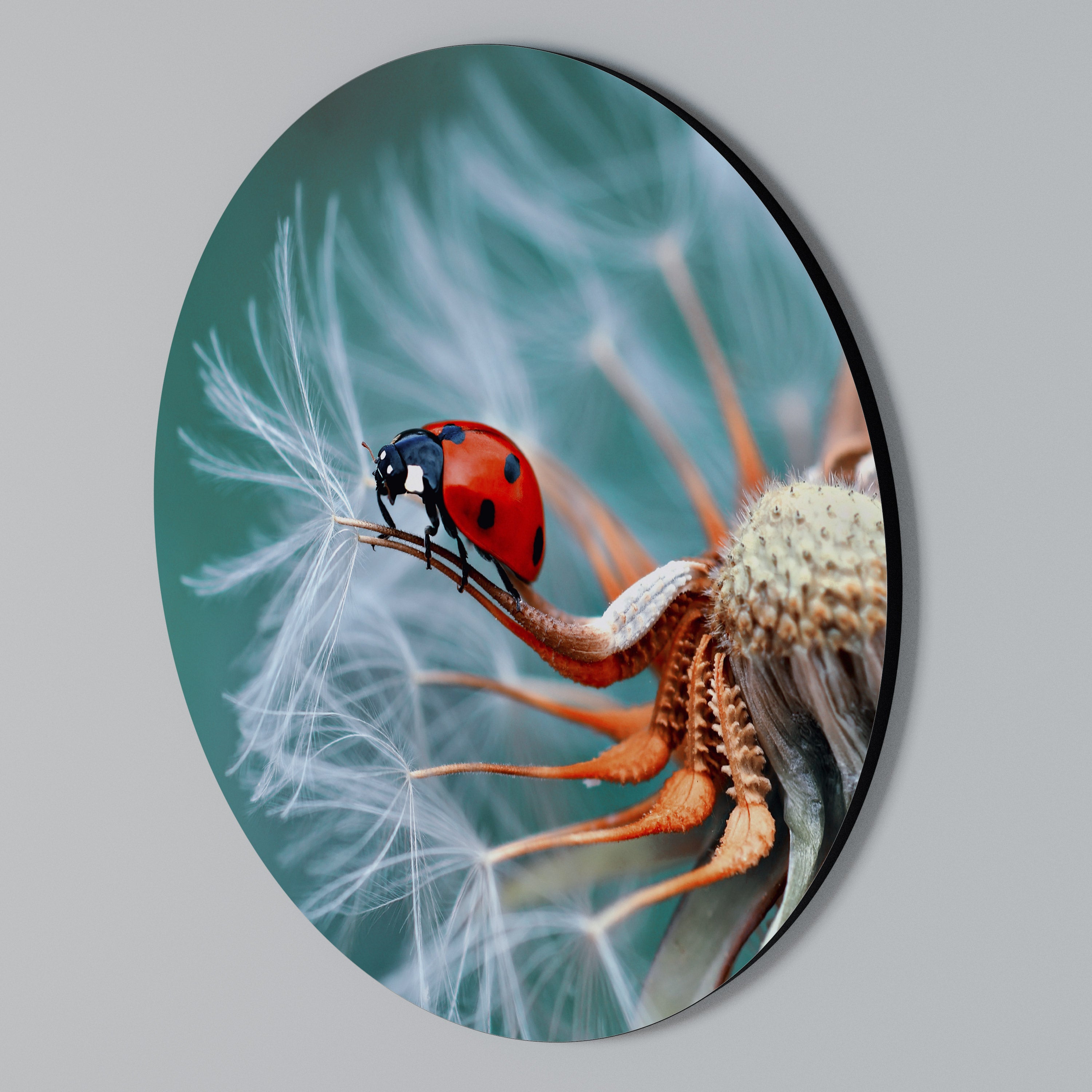 LADYBUG BALANCE Round Wall Art