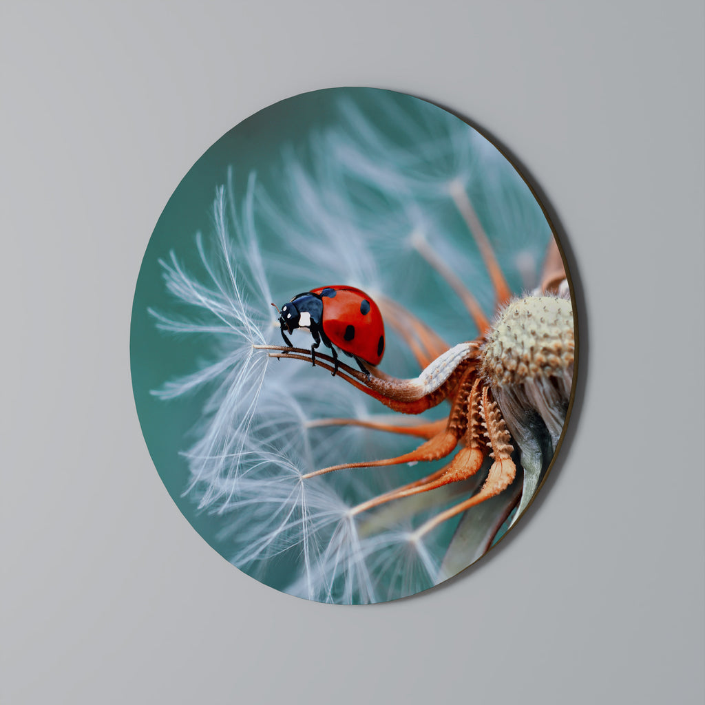 Στρογγυλή Τέχνη Τοίχου LADYBUG BALANCE