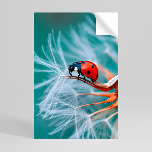LADYBUG BALANCE Αυτοκόλλητη Αφίσα κάθετη