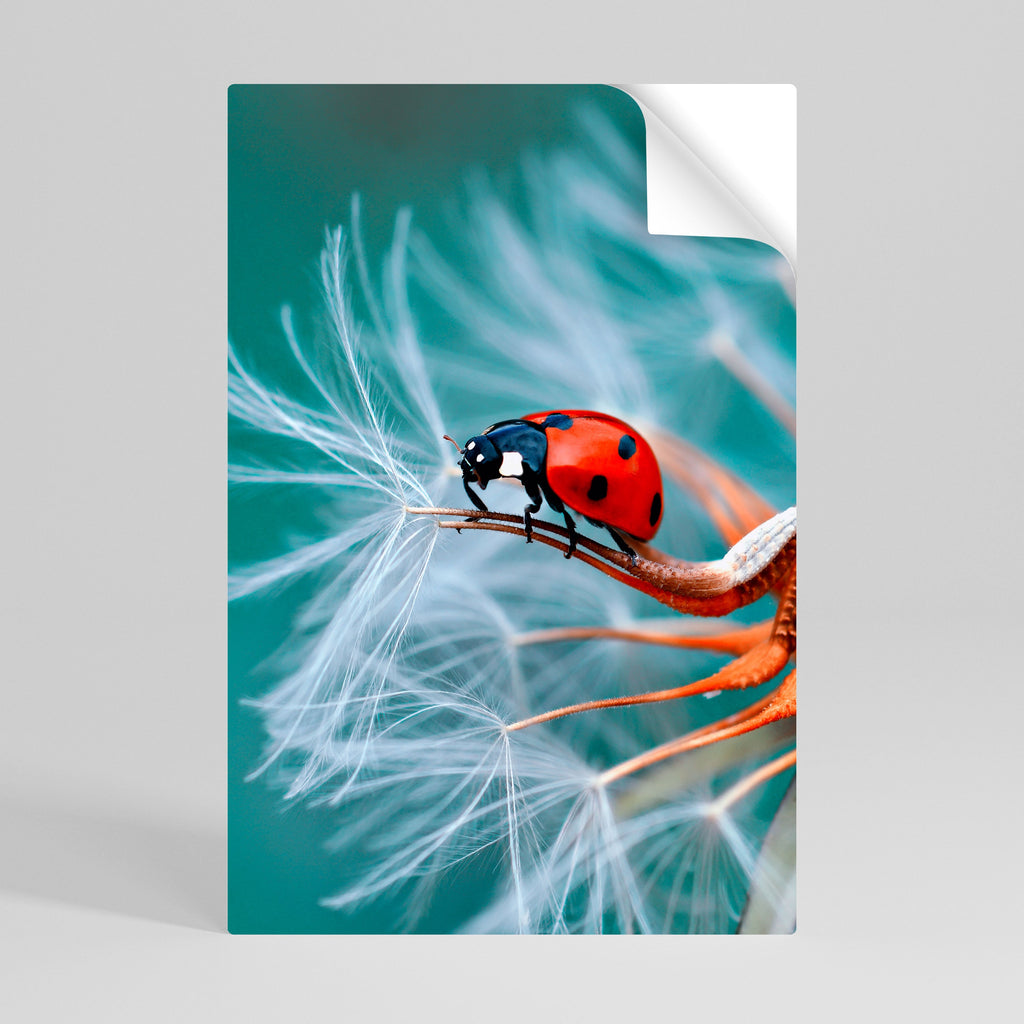 LADYBUG BALANCE Peel and Stick Vertical Poster
