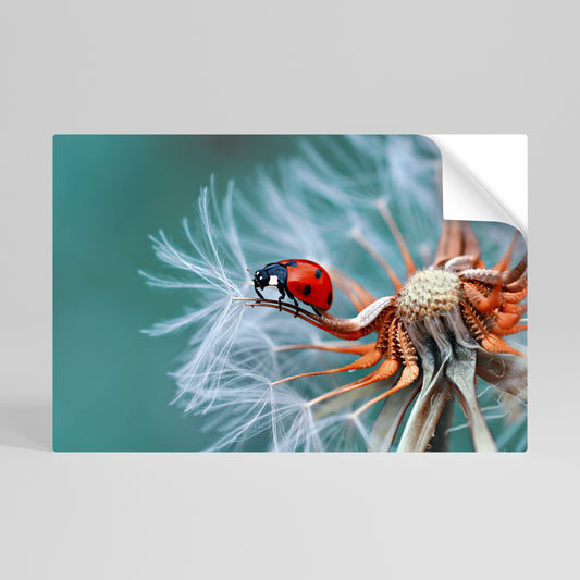 LADYBUG BALANCE Peel and Stick Horizontal Poster