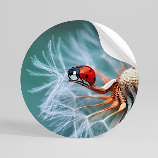 LADYBUG BALANCE Αυτοκόλλητη Αφίσα στρογγυλή