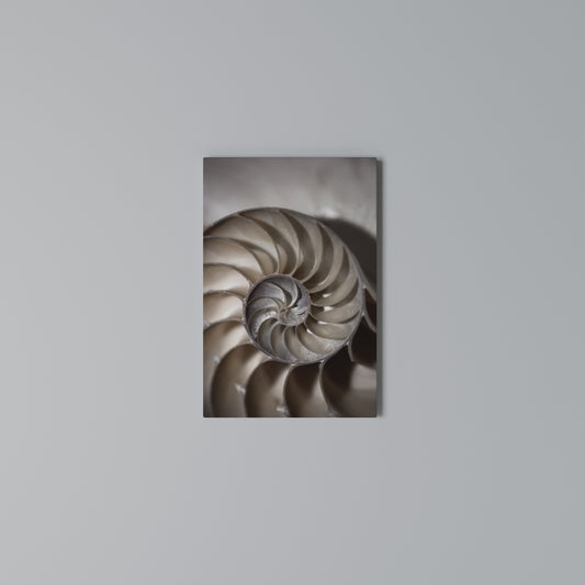 WHISPERS OF SHELLS Κατακόρυφος Πίνακας σε Καμβά
