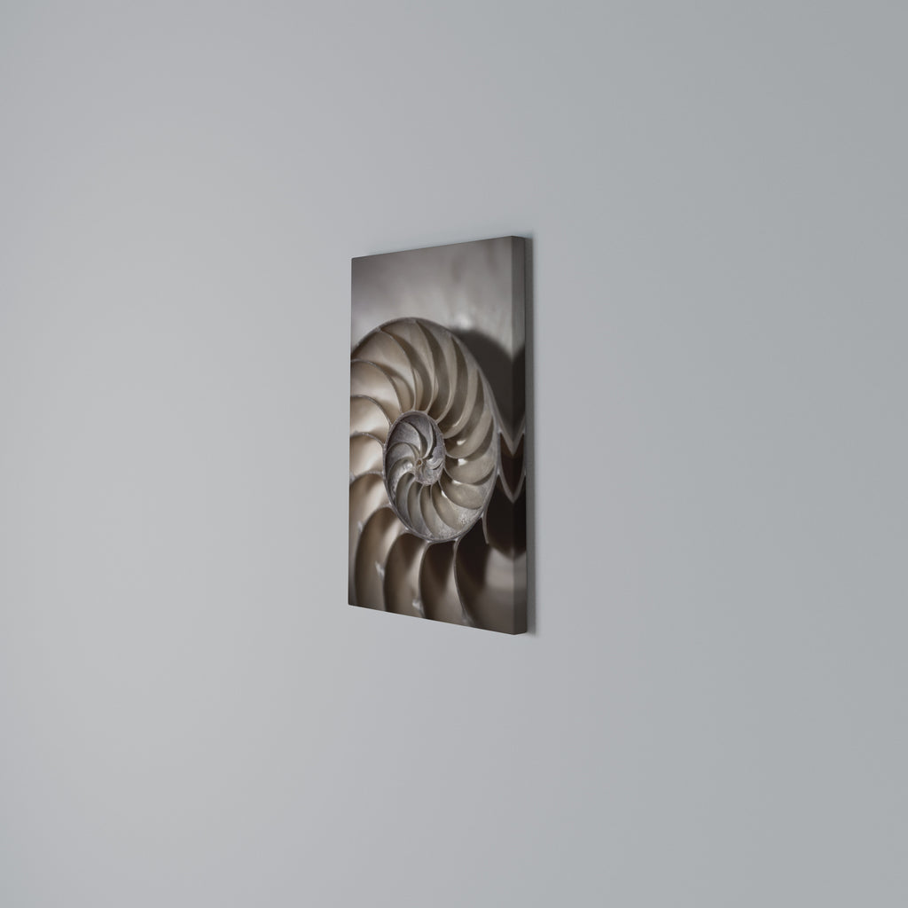 WHISPERS OF SHELLS Vertical Canvas Print