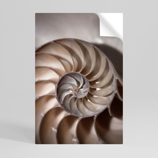 WHISPERS OF SHELLS Αυτοκόλλητη Αφίσα κάθετη