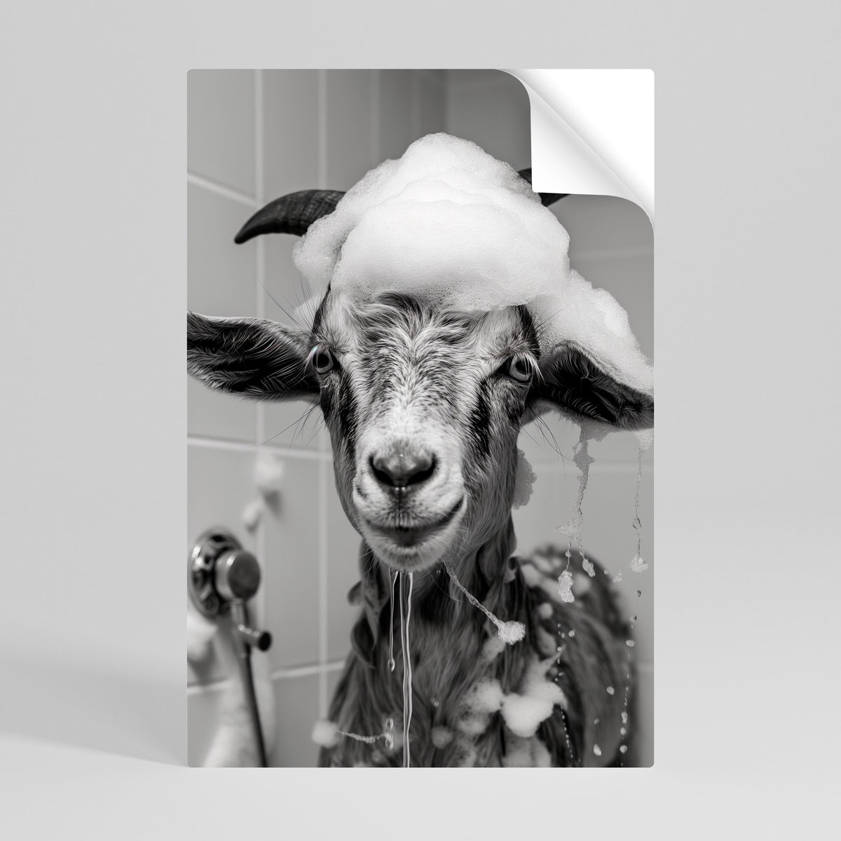 SOAPY GOAT GIGGLES Αυτοκόλλητη Αφίσα κάθετη