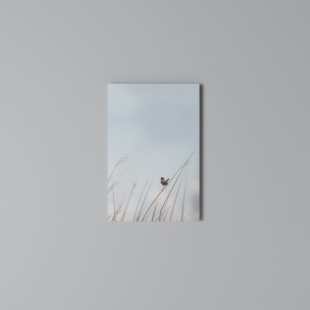 NATURE'S CHORUS Vertical Canvas Print
