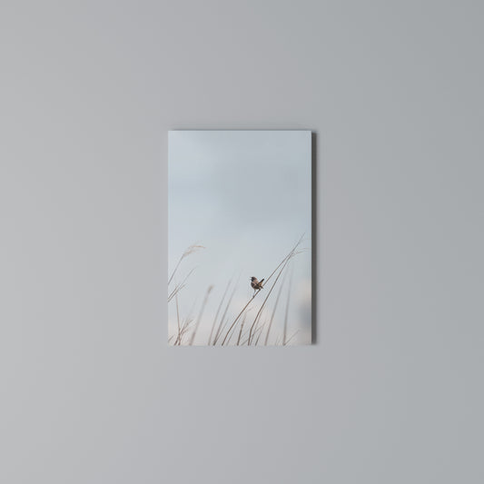 NATURE'S CHORUS Vertical Canvas Print