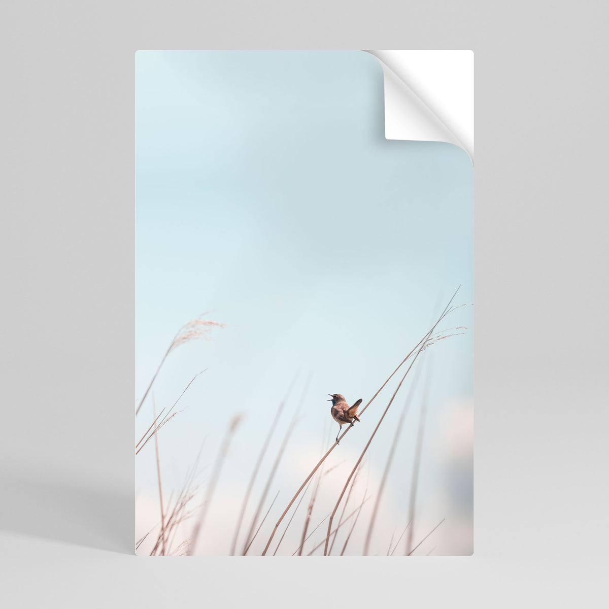 NATURE'S CHORUS Αυτοκόλλητη Αφίσα κάθετη