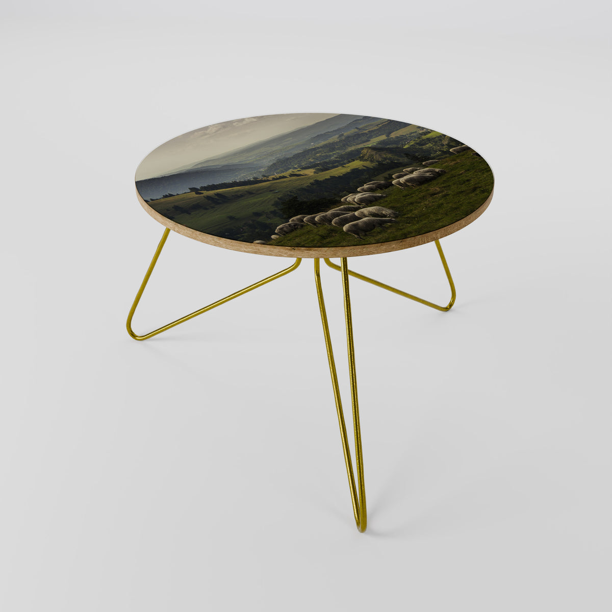 SHEEP IN SERENITY Coffee Table