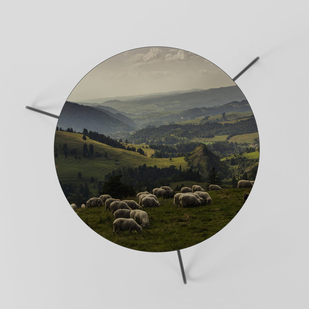 Τραπεζάκι Σαλονιού SHEEP IN SERENITY 60