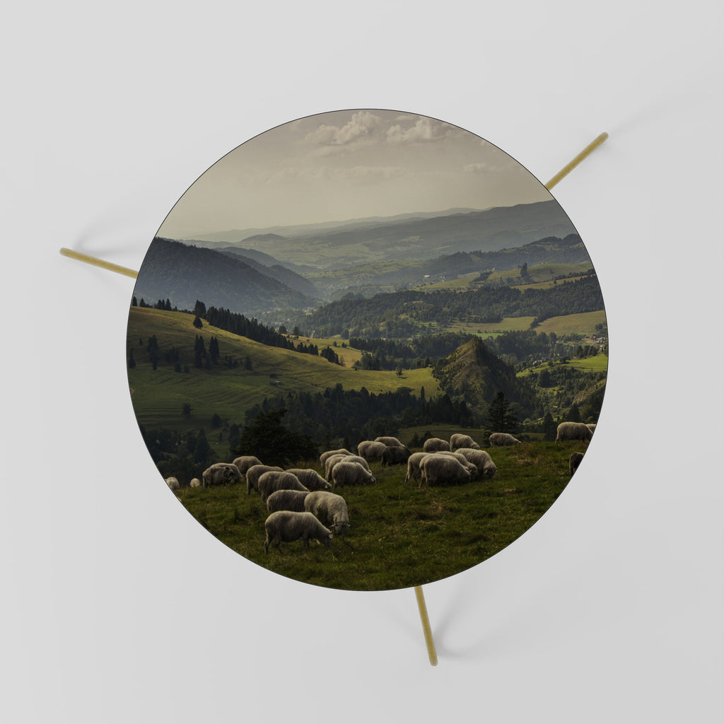 Τραπεζάκι Σαλονιού SHEEP IN SERENITY 60