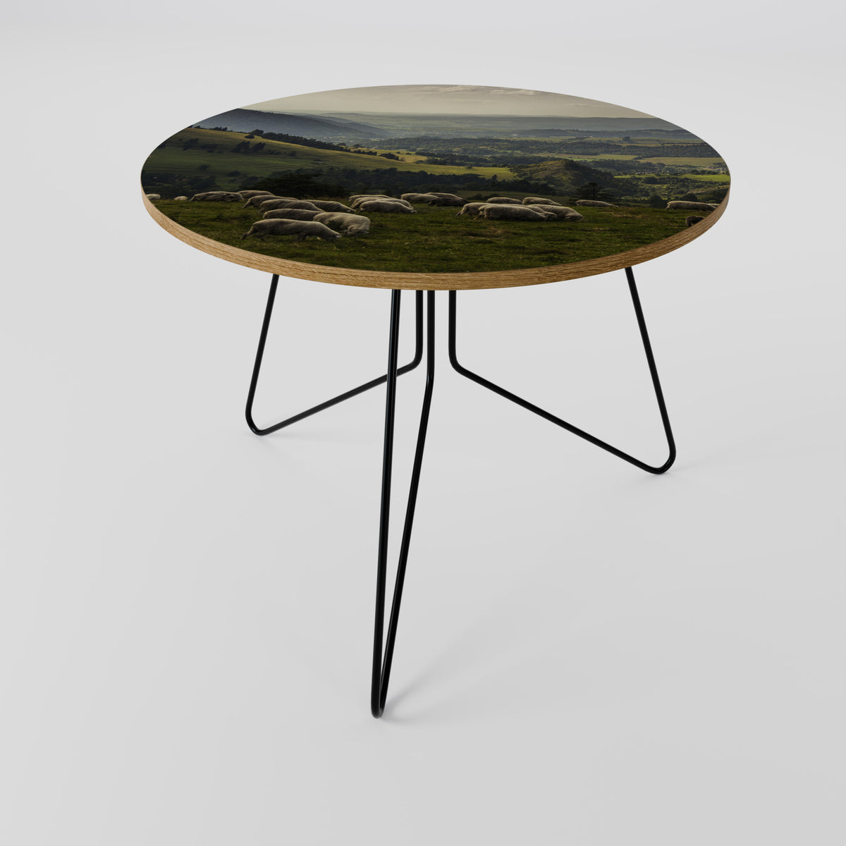 SHEEP IN SERENITY Coffee Table