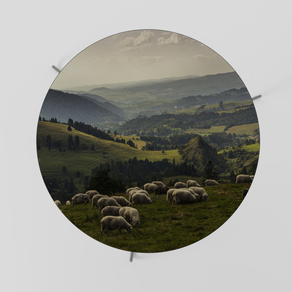 Τραπεζάκι Σαλονιού SHEEP IN SERENITY 69