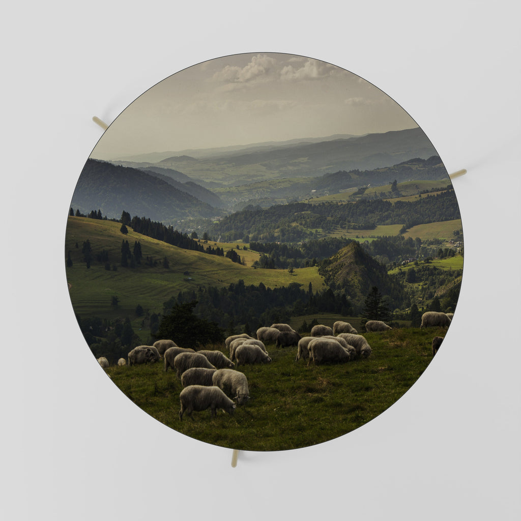 Τραπεζάκι Σαλονιού SHEEP IN SERENITY 69