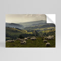 SHEEP IN SERENITY Αυτοκόλλητη Αφίσα οριζόντια