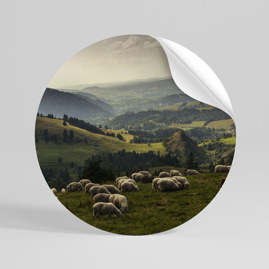 SHEEP IN SERENITY Αυτοκόλλητη Αφίσα στρογγυλή