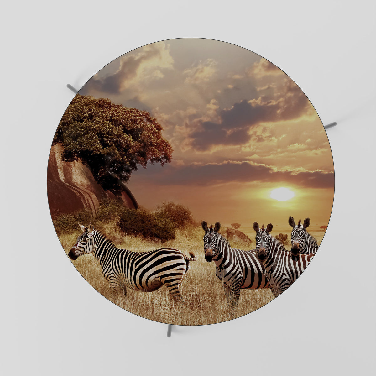 ZEBRA SUNSET SERENADE Coffee Table