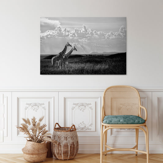 ELEGANT HEIGHTS UNVEILED Horizontal Canvas Print