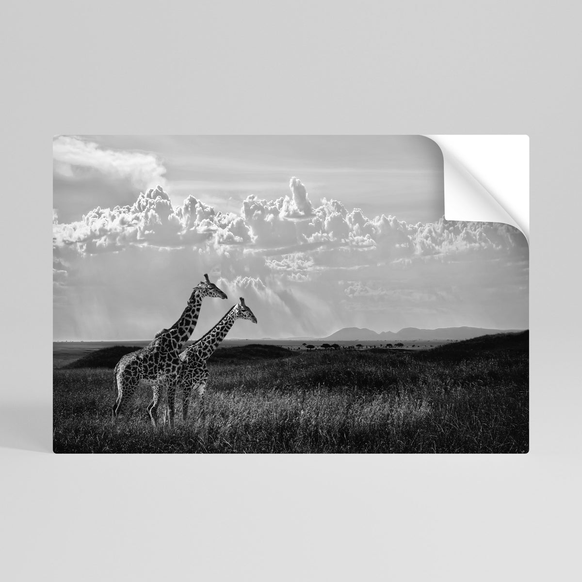 ELEGANT HEIGHTS UNVEILED Peel and Stick Horizontal Poster