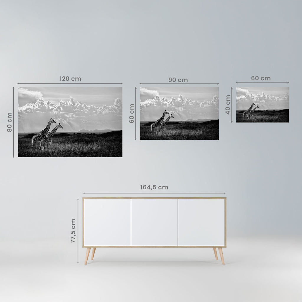 ELEGANT HEIGHTS UNVEILED Peel and Stick Horizontal Poster