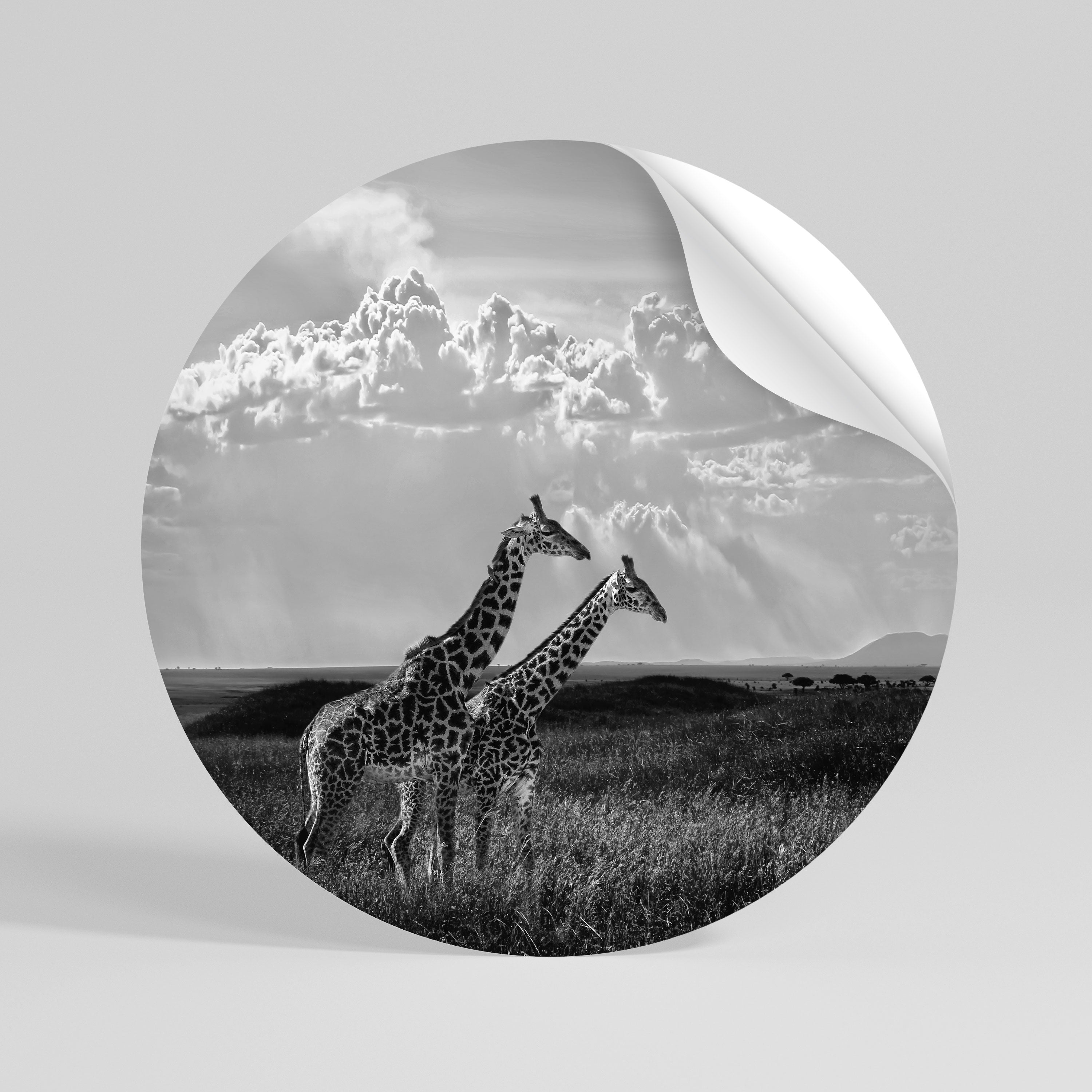 ELEGANT HEIGHTS UNVEILED Αυτοκόλλητη "Peel and Stick" Αφίσα στρογγυλή