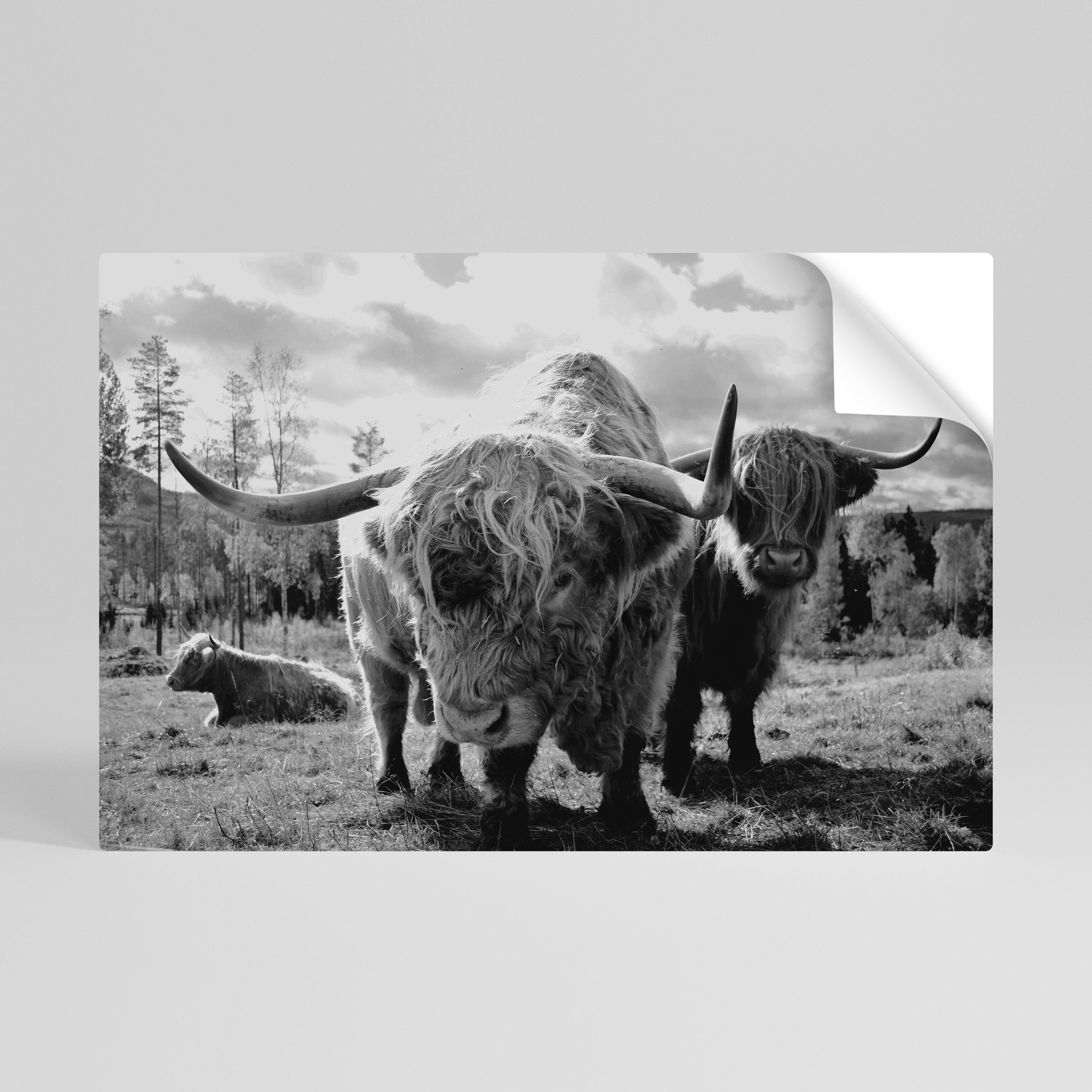 STILLNESS OF OLD SOULS Αυτοκόλλητη Αφίσα οριζόντια