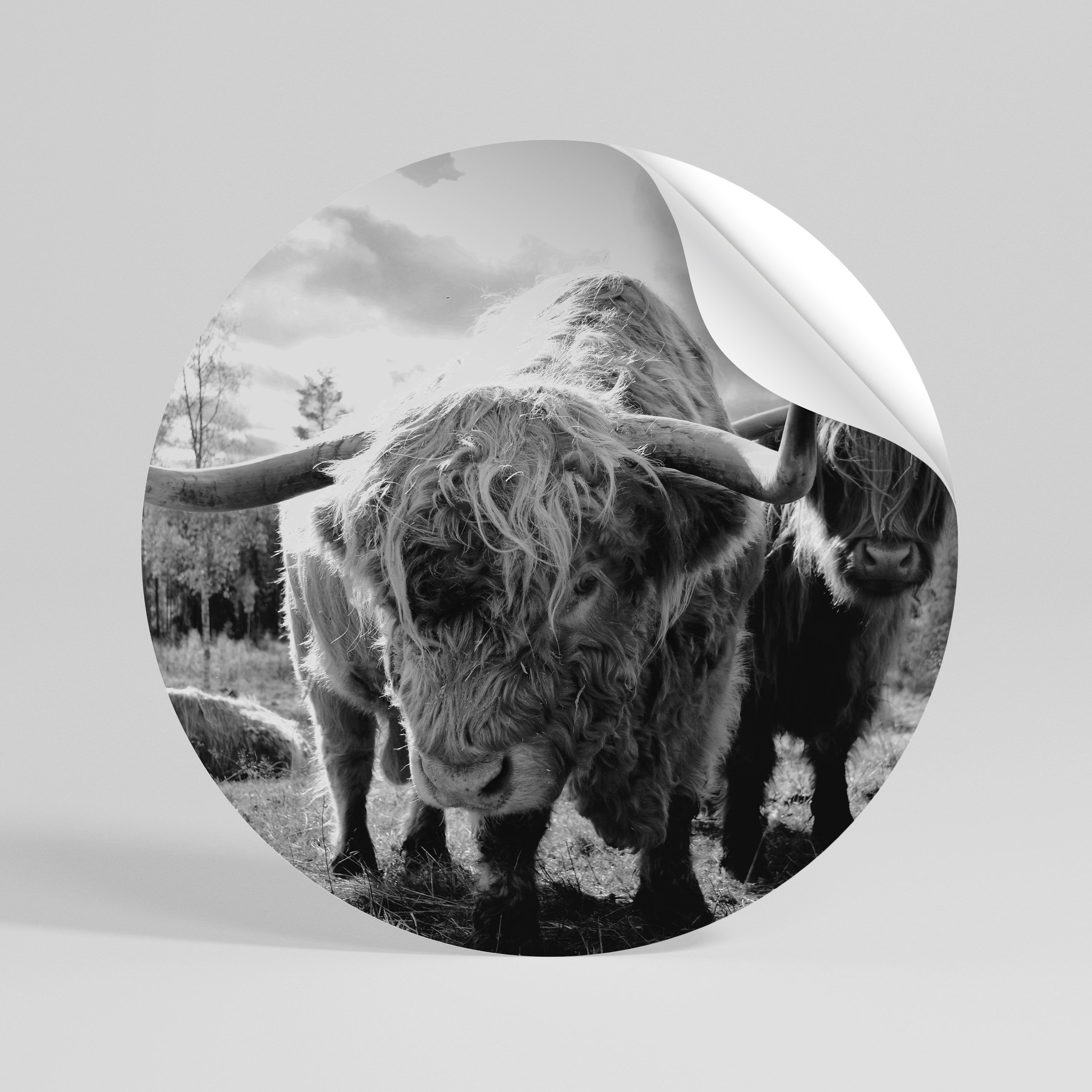 STILLNESS OF OLD SOULS Αυτοκόλλητη "Peel and Stick" Αφίσα στρογγυλή