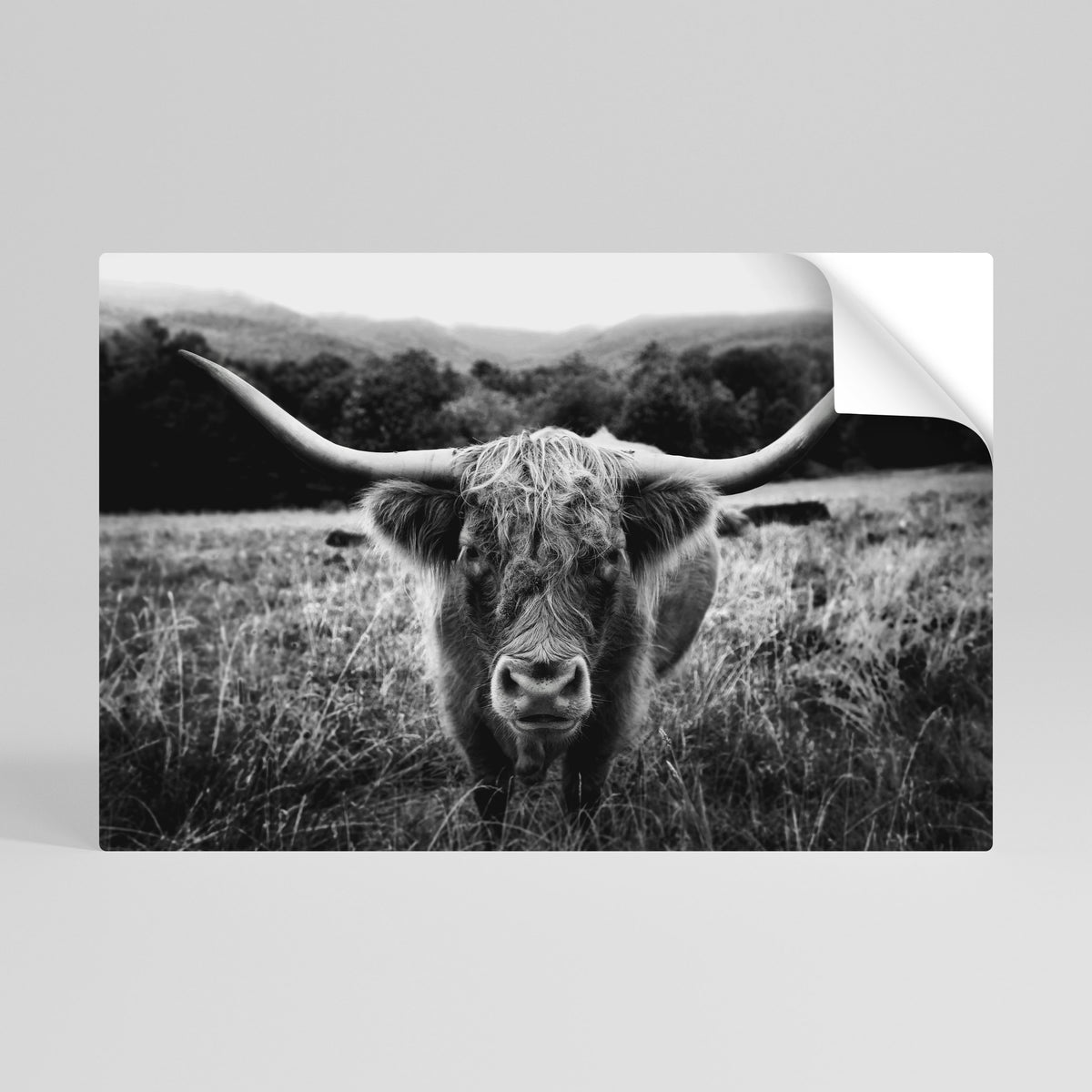 HORNED HERO IN FOCUS Peel and Stick Horizontal Poster