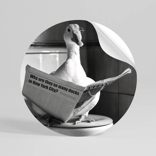 DUCKS IN THE CITY Αυτοκόλλητη Αφίσα στρογγυλή
