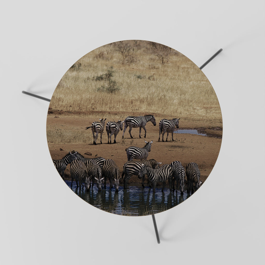 Τραπεζάκι σαλονιού THE ZEBRA HARMONY 60