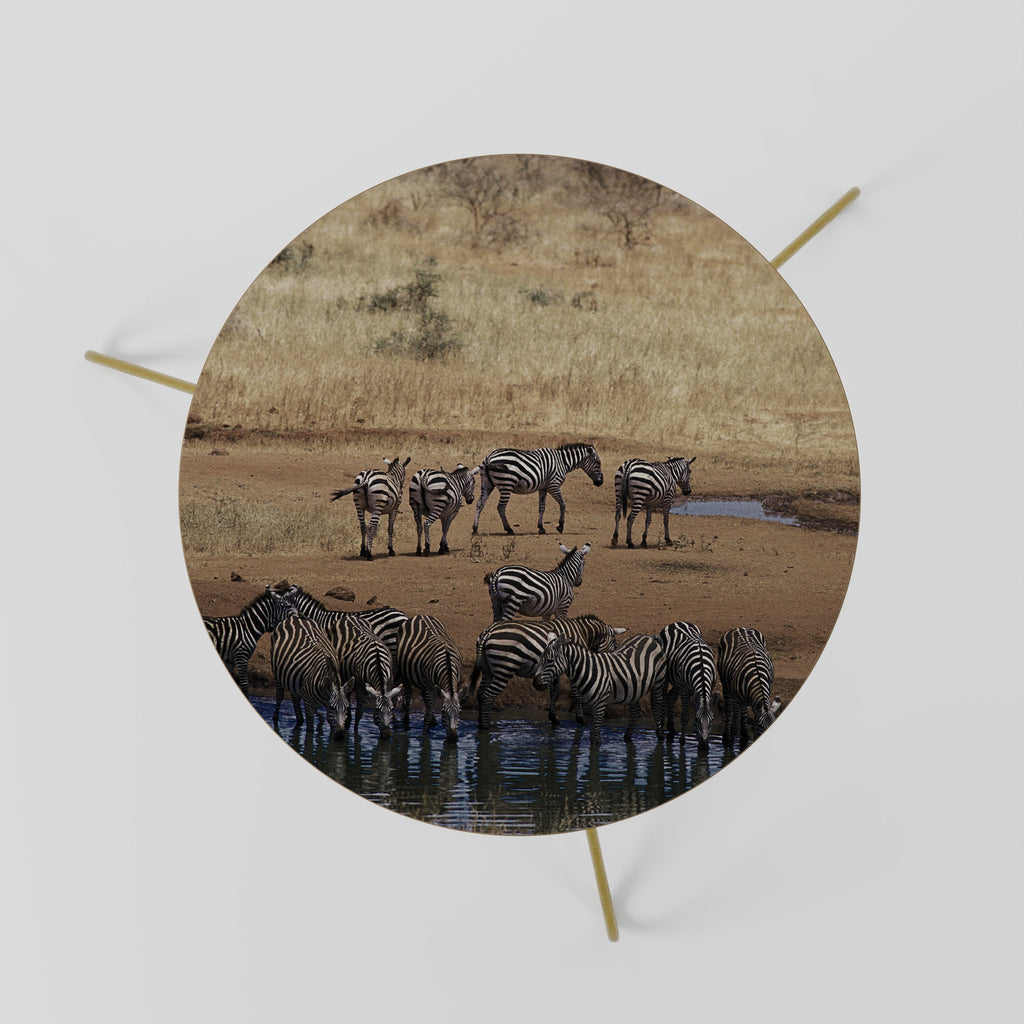 Τραπεζάκι σαλονιού THE ZEBRA HARMONY 60