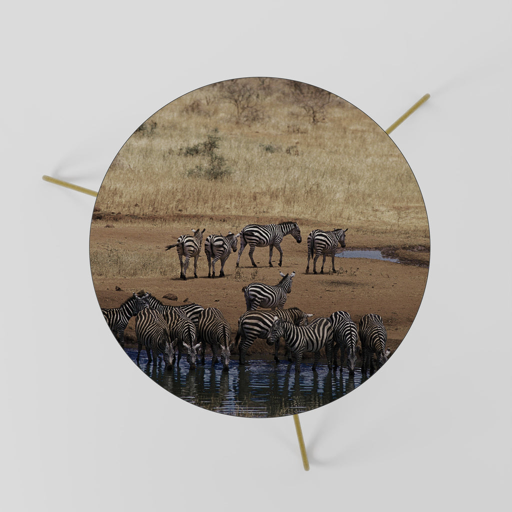 Τραπεζάκι σαλονιού THE ZEBRA HARMONY 60