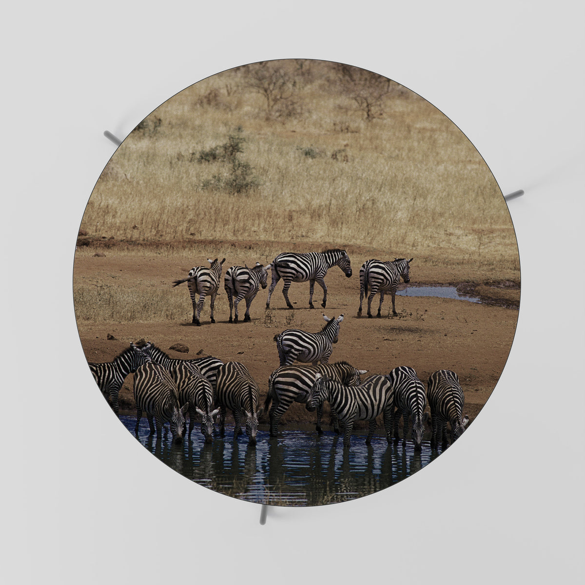 THE ZEBRA HARMONY Τραπεζάκι σαλονιού