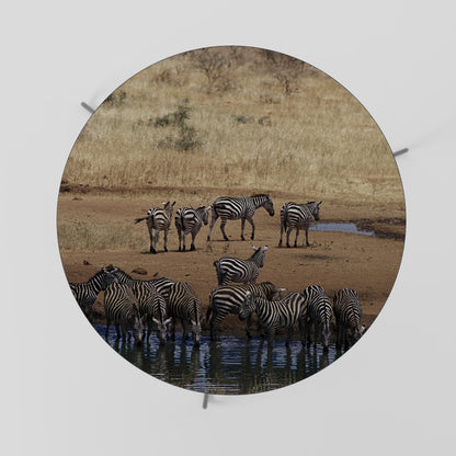 THE ZEBRA HARMONY Τραπεζάκι σαλονιού