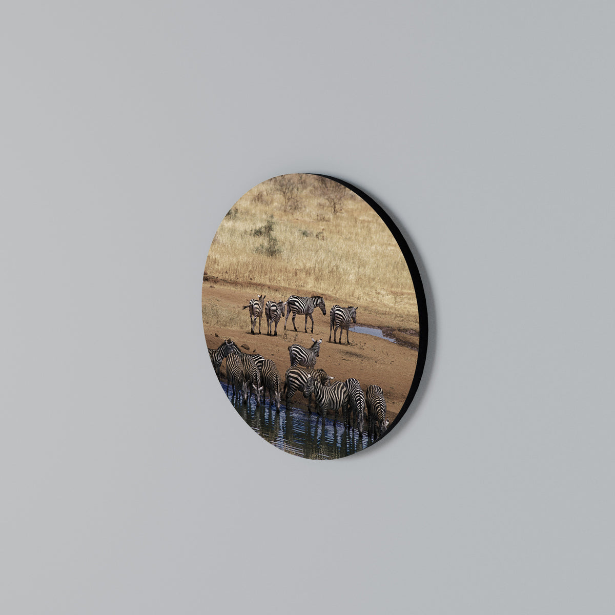 THE ZEBRA HARMONY Στρογγυλός πίνακας ζωγραφικής