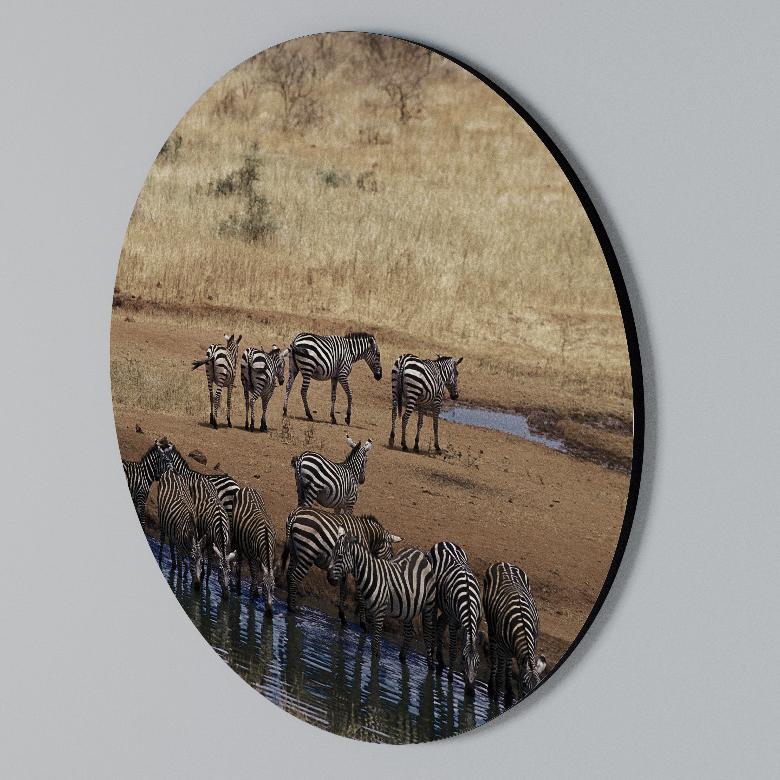 THE ZEBRA HARMONY Round Wall Art