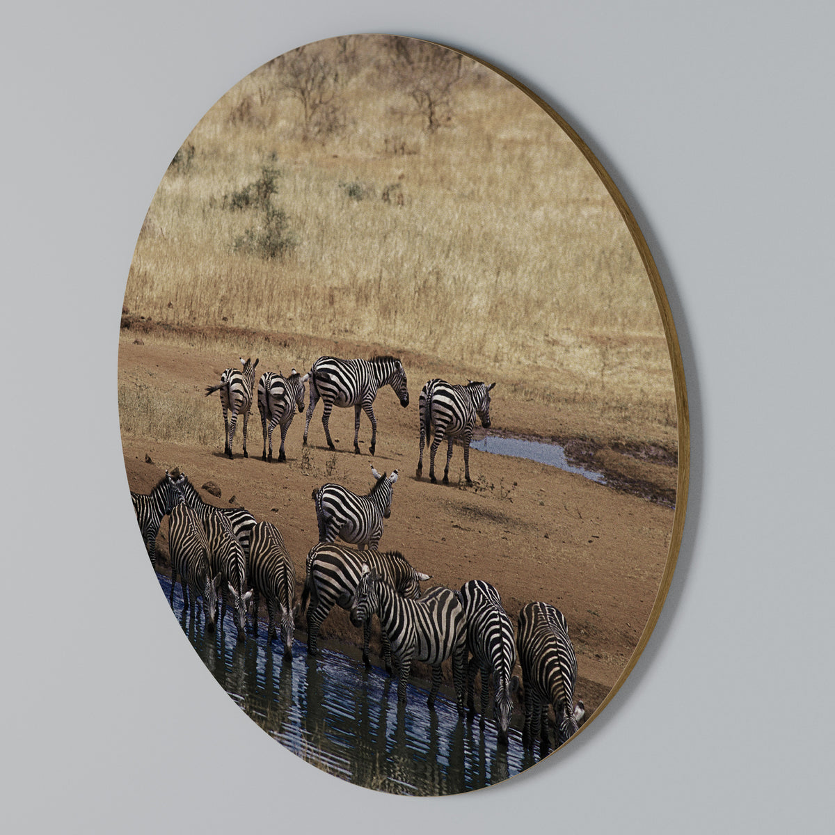 THE ZEBRA HARMONY Στρογγυλός πίνακας ζωγραφικής