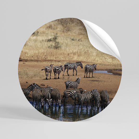 THE ZEBRA HARMONY Αυτοκόλλητη Αφίσα στρογγυλή