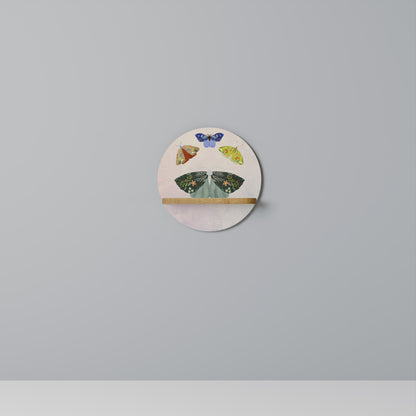 MOTH INTO THE LIGHT Art Shelf