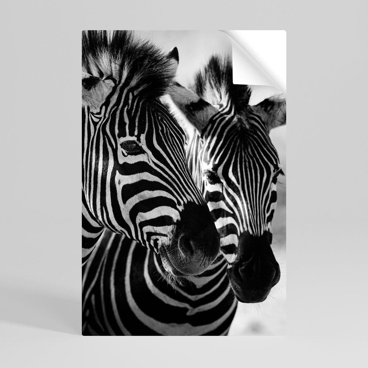 STRIPED SYMPHONY Αυτοκόλλητη Αφίσα κάθετη