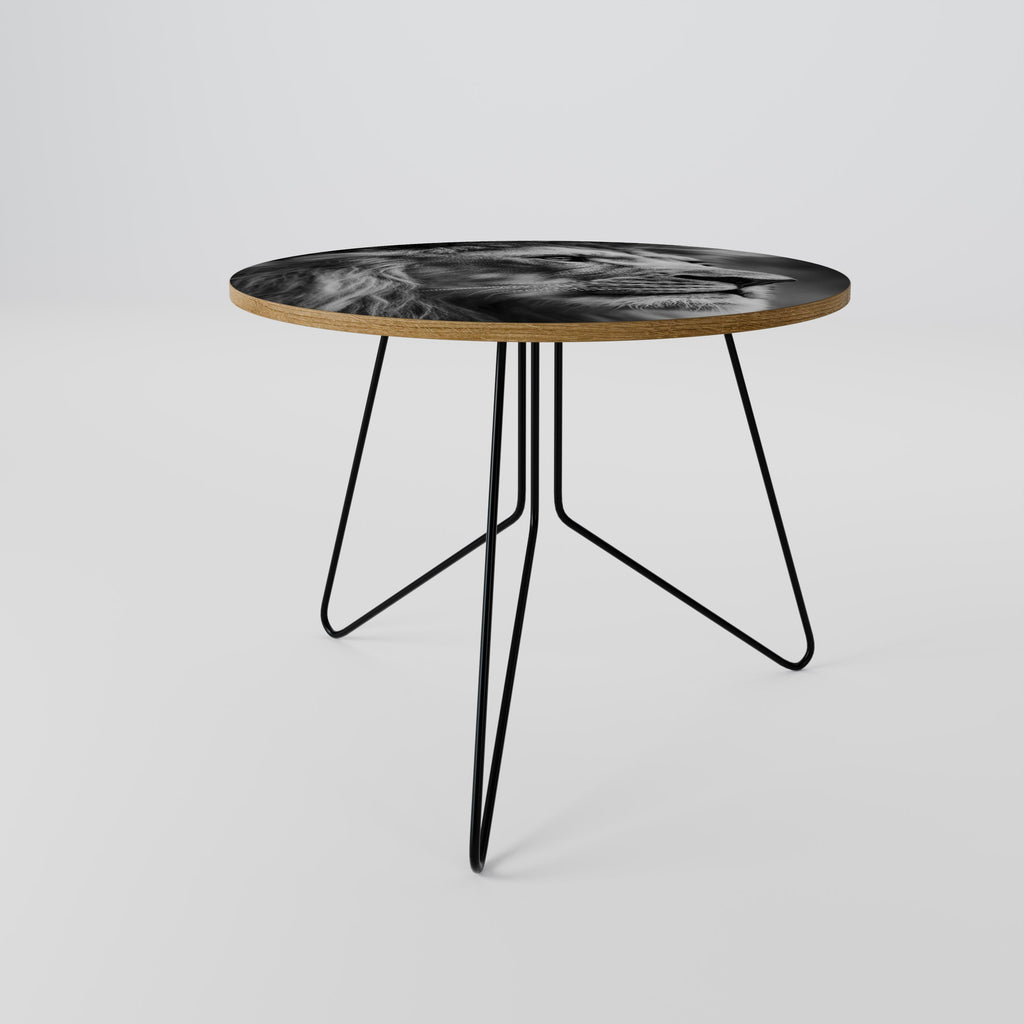 ROYAL REFLECTION Coffee Table 69