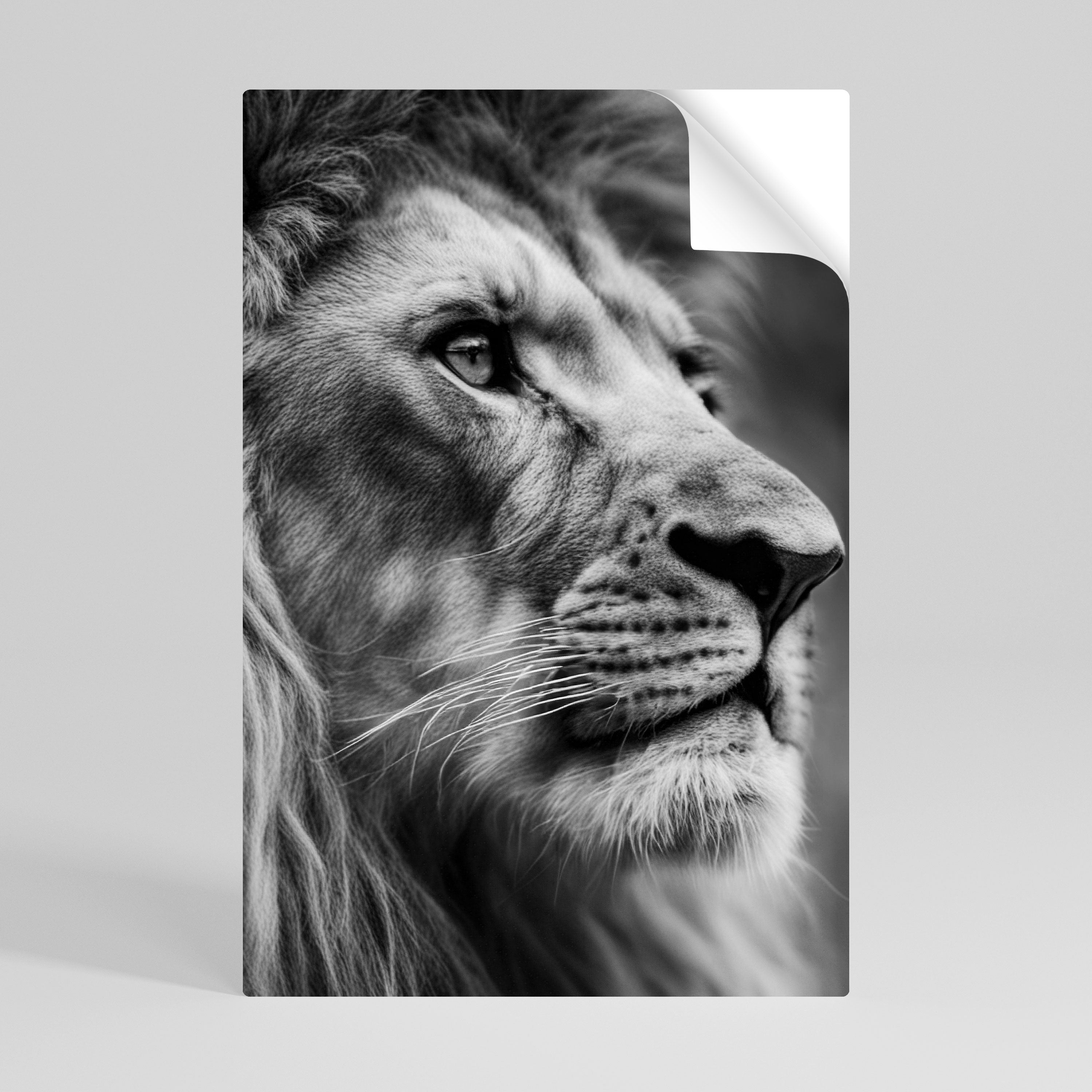 ROYAL REFLECTION Peel and Stick Vertical Poster