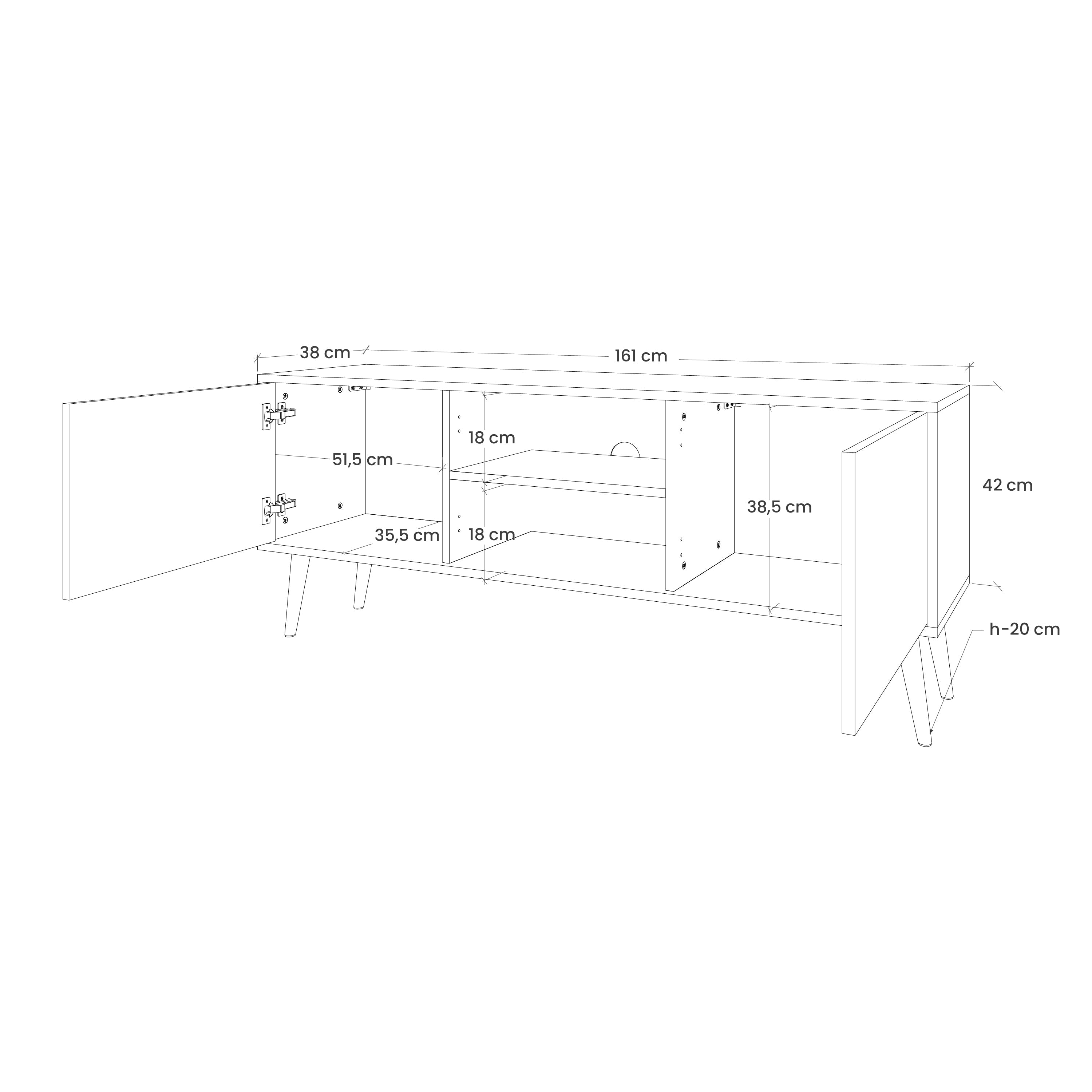 NEVERENDING BLOOM 2-Door TV Stand in Black Finish